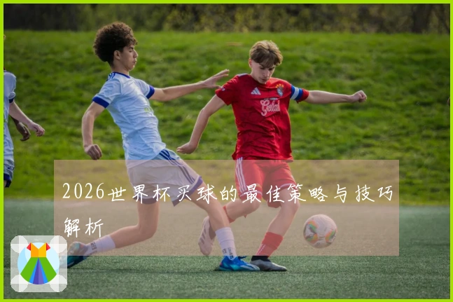 2026世界杯买球的最佳策略与技巧解析