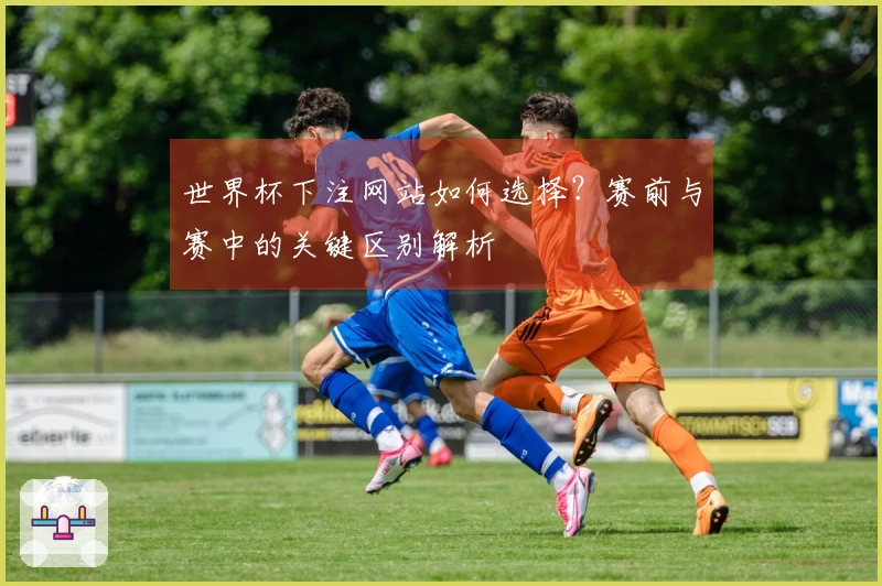 世界杯下注网站如何选择？赛前与赛中的关键区别解析
