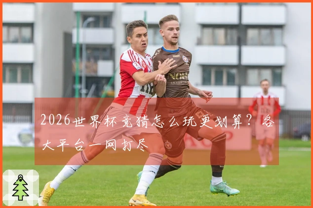 2026世界杯竞猜怎么玩更划算？各大平台一网打尽