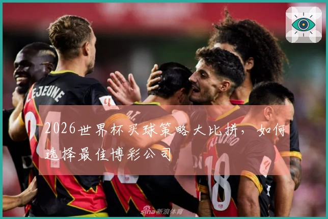 2026世界杯买球策略大比拼，如何选择最佳博彩公司