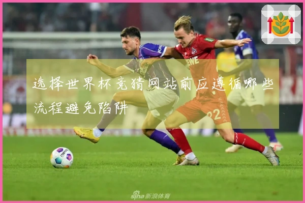 选择世界杯竞猜网站前应遵循哪些流程避免陷阱
