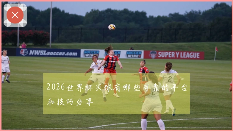 2026世界杯买球有哪些可靠的平台和技巧分享