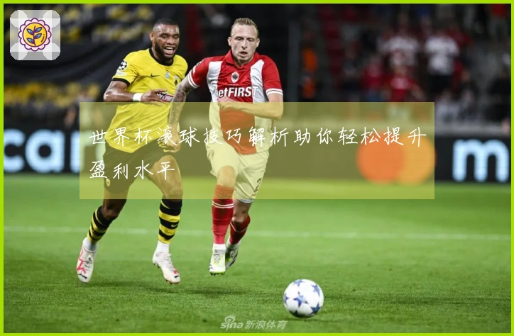 世界杯滚球技巧解析助你轻松提升盈利水平