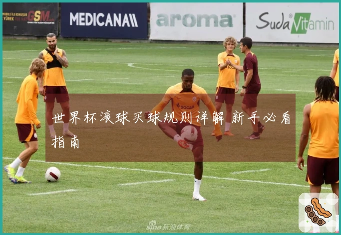 世界杯滚球买球规则详解 新手必看指南