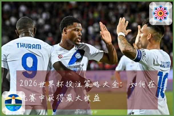 2026世界杯投注策略大全：如何在比赛中获得最大收益