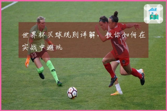 世界杯买球规则详解，教你如何在实战中避坑